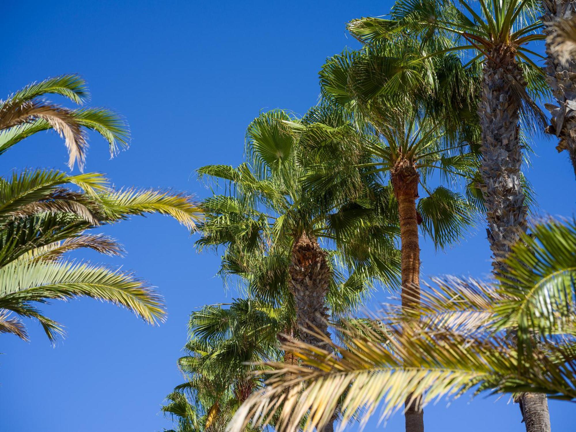 Casa Tindaya - 3 Min Walk To The Beach Κοραλέχο Εξωτερικό φωτογραφία